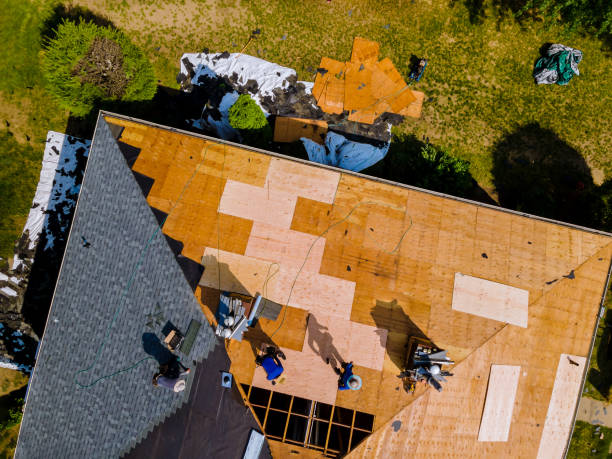 Best Affordable Roof Replacement  in Worthgton, IN