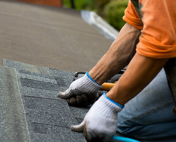 Roof Gutter Cleaning in Worthington, IN